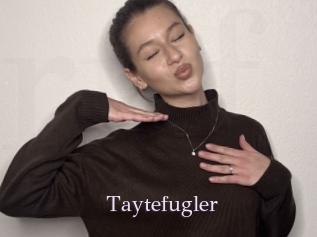 Taytefugler