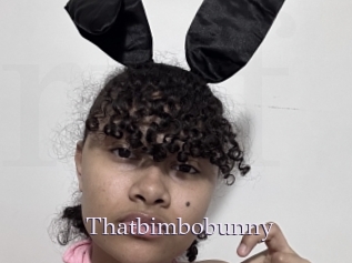 Thatbimbobunny