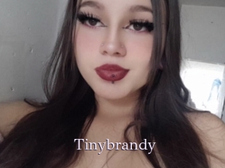 Tinybrandy