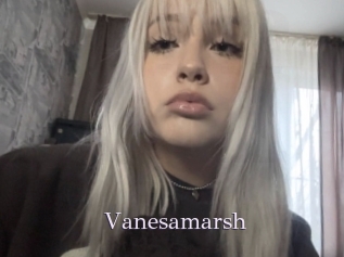 Vanesamarsh