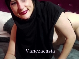 Vanezacasta