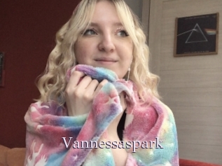Vannessaspark