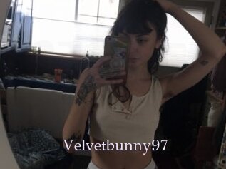 Velvetbunny97