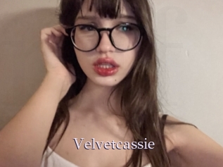 Velvetcassie