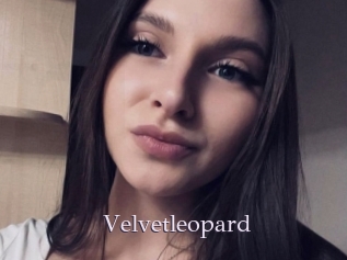 Velvetleopard