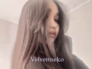 Velvettneko