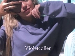 Violetcollen