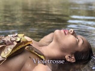 Violetrosse