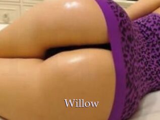 Willow_