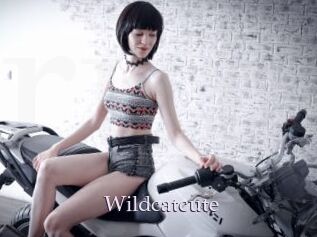 Wildcatcute
