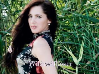 Wildredflower