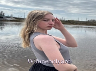 Wilonebolyard